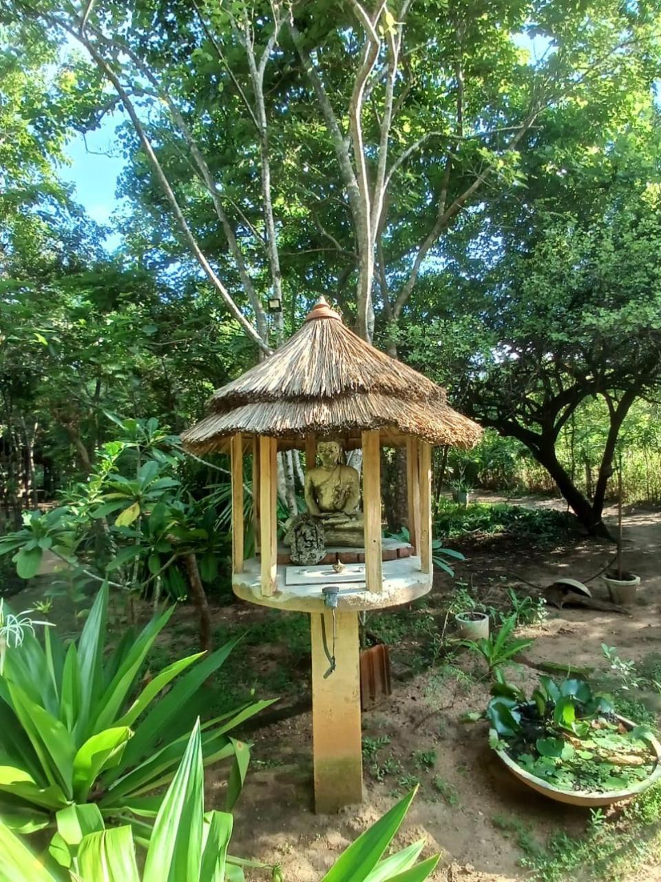Villa هاباران المظهر الخارجي الصورة