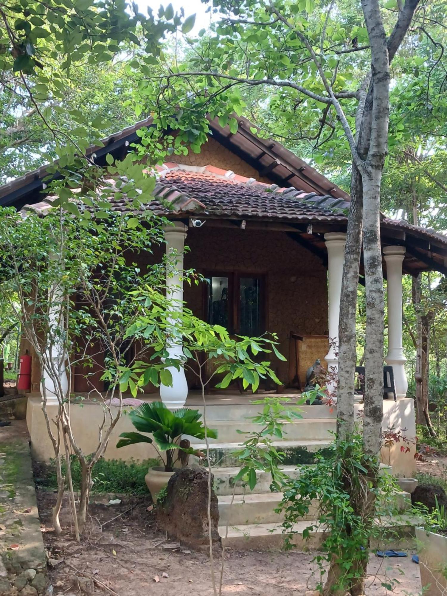 Villa هاباران المظهر الخارجي الصورة