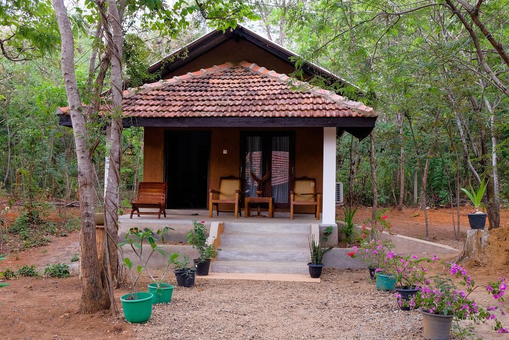 Villa هاباران المظهر الخارجي الصورة